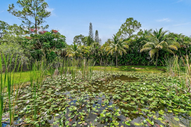 view of nature