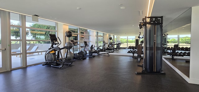 workout area featuring a wealth of natural light and expansive windows