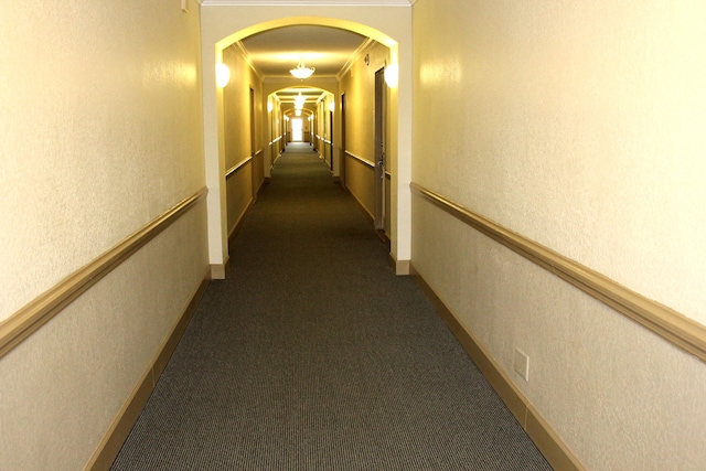 hall featuring crown molding and carpet floors