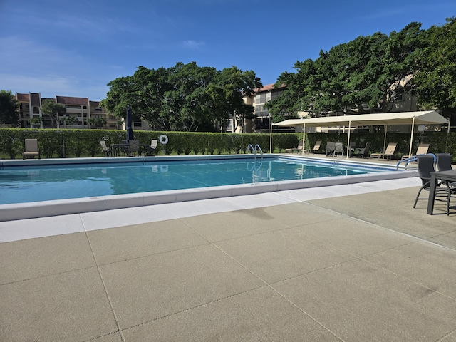 view of pool featuring a patio area