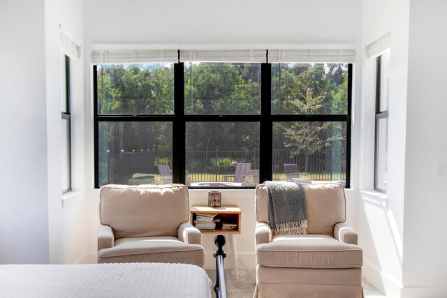 bedroom with multiple windows and carpet flooring