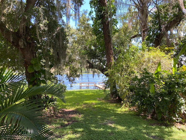 view of yard with a water view