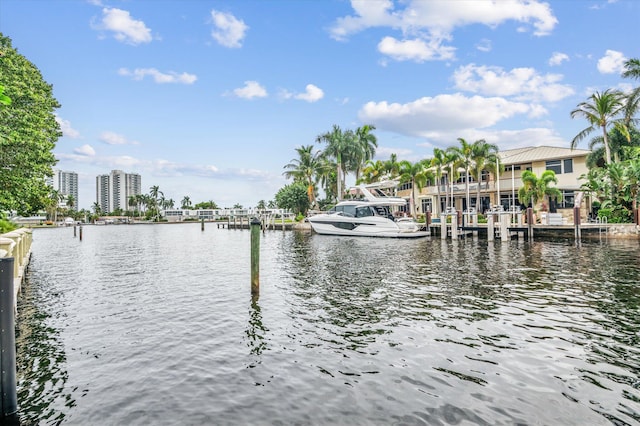 water view with a dock