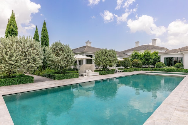 view of pool featuring a patio area