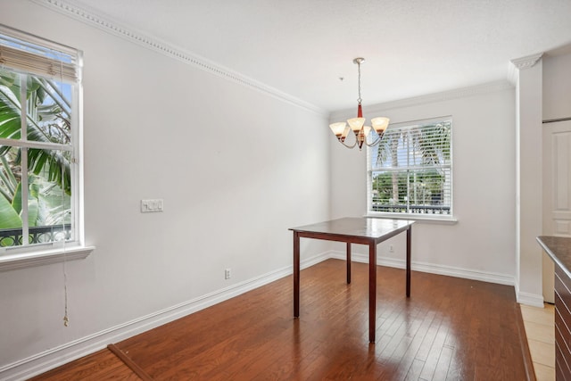 unfurnished dining area with an inviting chandelier, a healthy amount of sunlight, and wood-type flooring