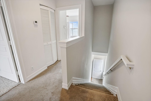 staircase with carpet floors