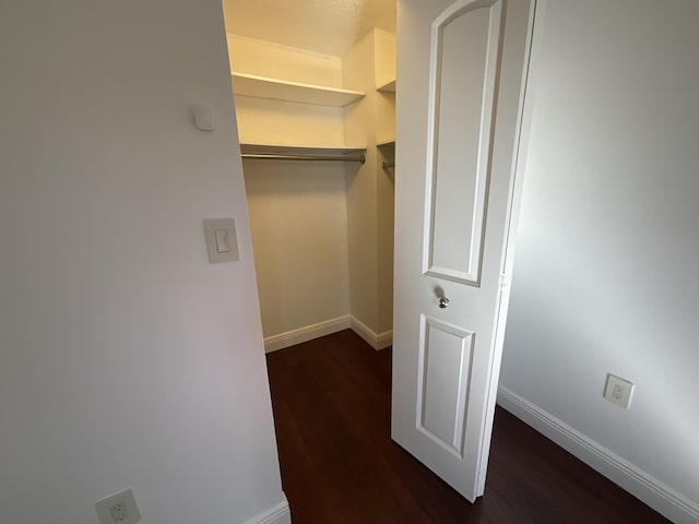 walk in closet featuring dark hardwood / wood-style floors