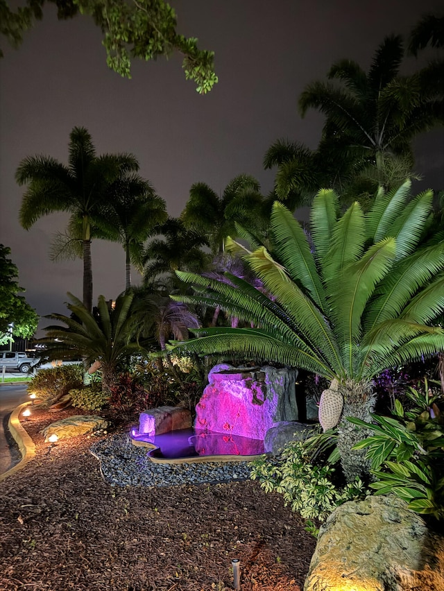 view of yard at night