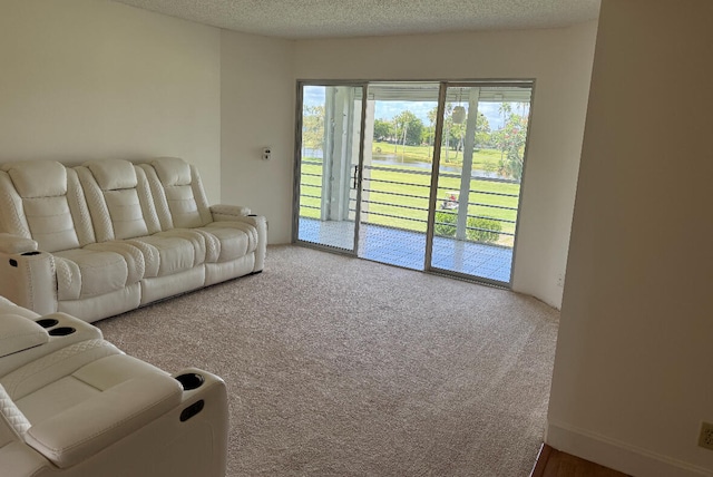 living room with a textured ceiling, a wealth of natural light, and carpet flooring