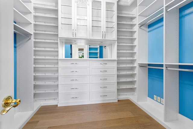 walk in closet featuring light hardwood / wood-style floors