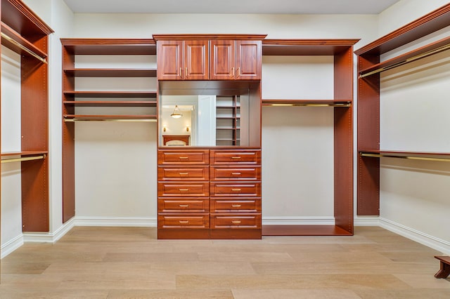 spacious closet featuring light wood-type flooring