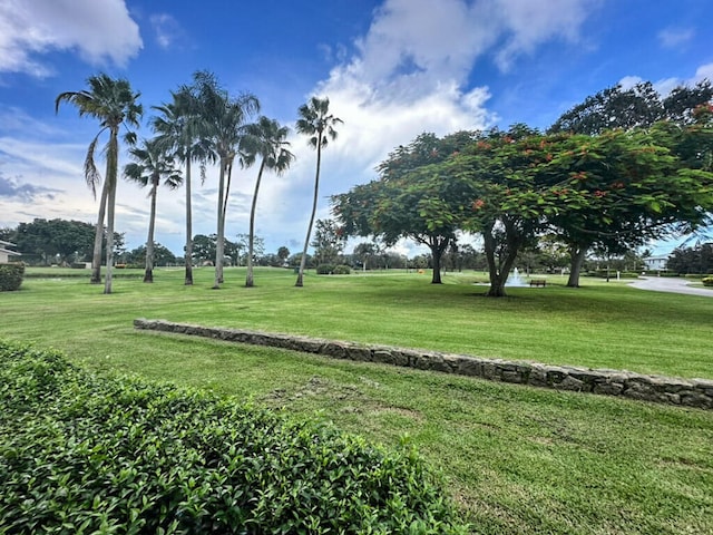 view of community with a yard