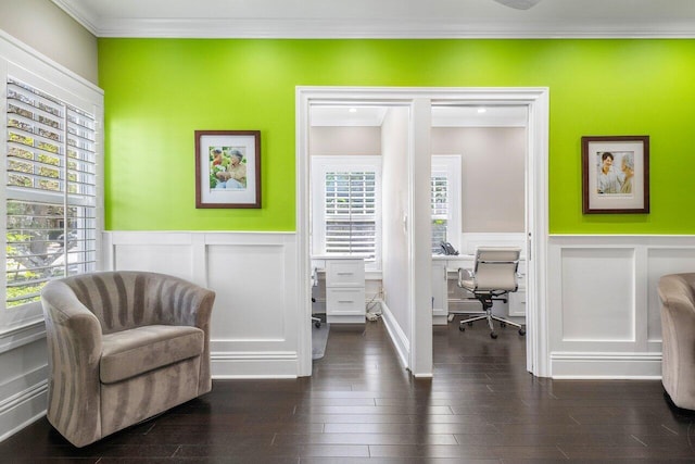 office space featuring crown molding and dark hardwood / wood-style flooring