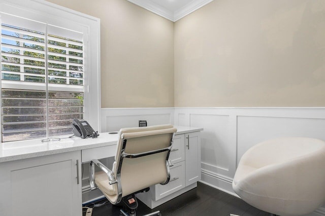 office area with crown molding and dark hardwood / wood-style flooring