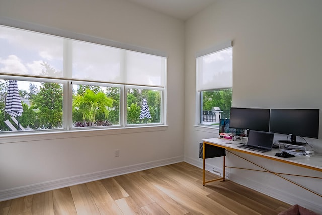 office space featuring light hardwood / wood-style flooring