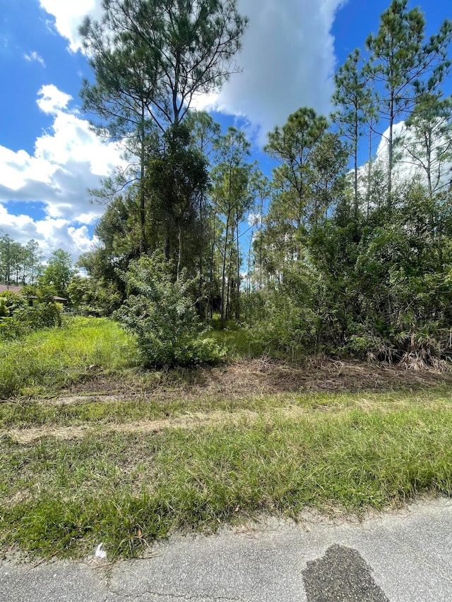 1315 Roosevelt Ave, Lehigh Acres FL, 33972 land for sale