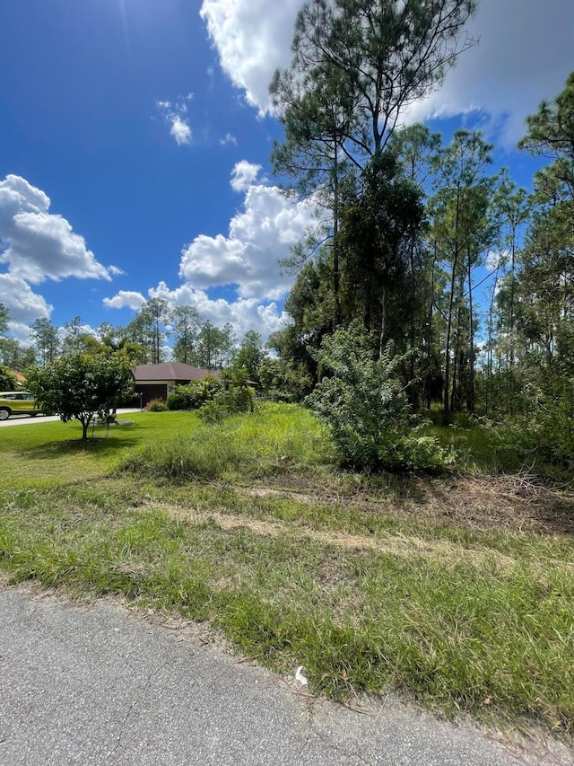 Listing photo 3 for 1315 Roosevelt Ave, Lehigh Acres FL 33972