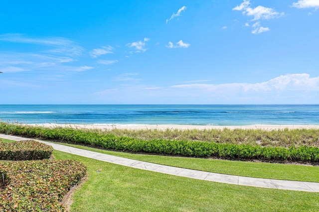 water view featuring a beach view