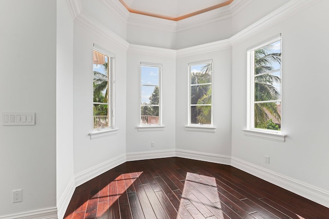 spare room featuring crown molding, plenty of natural light, and dark hardwood / wood-style floors