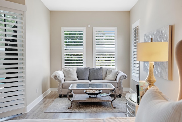 living room with light hardwood / wood-style flooring