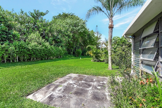 view of yard with a patio