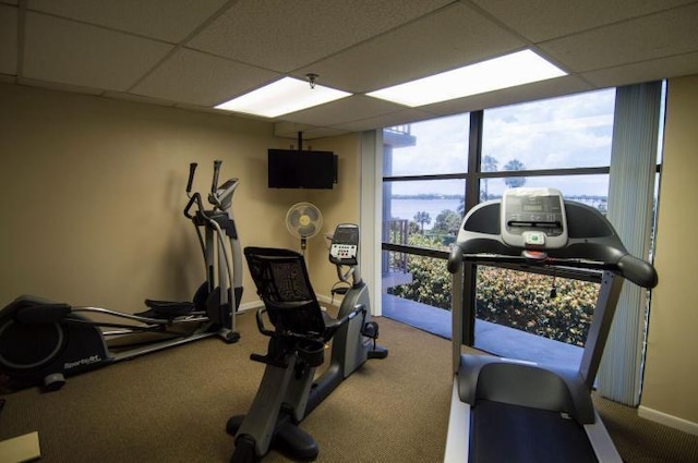 workout area with carpet and a drop ceiling