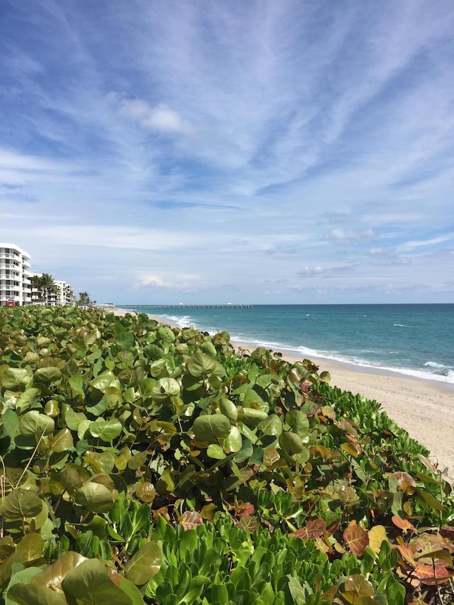 water view with a view of the beach