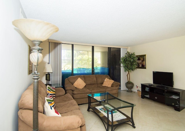 living room with a wall of windows