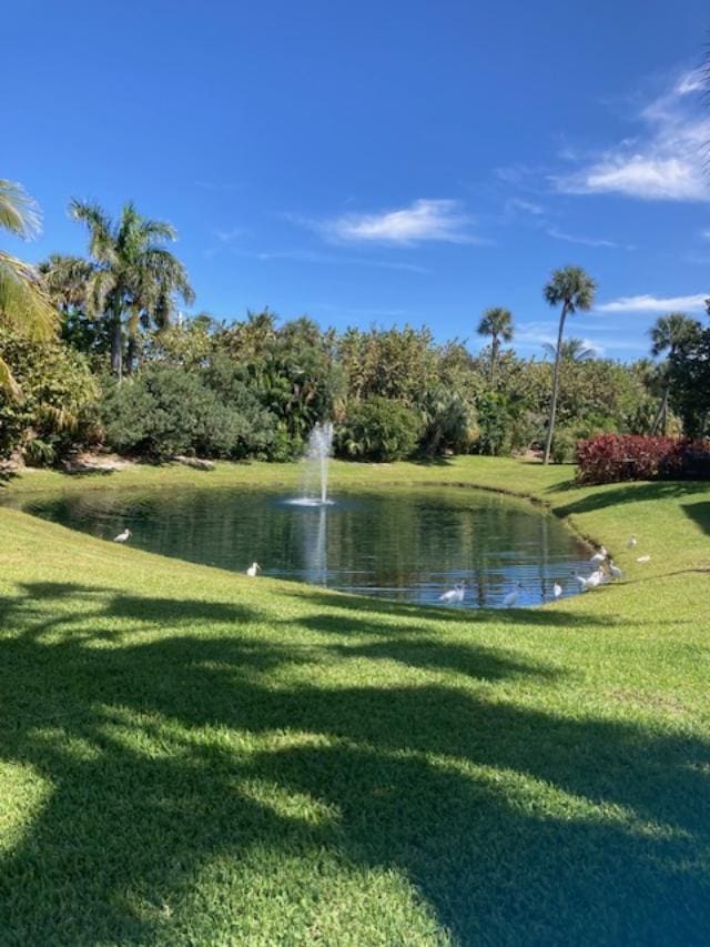 property view of water