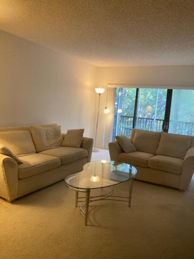 carpeted living room with a textured ceiling