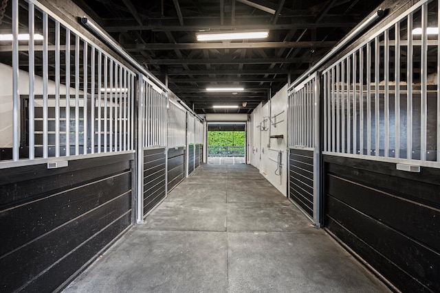 view of horse barn