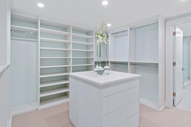 walk in closet with light colored carpet