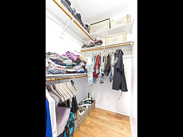 walk in closet with wood-type flooring