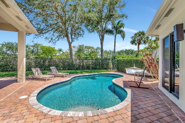 16106 Rosecroft Ter, Delray Beach, FL 33446 - view of swimming pool with a patio area, a fenced backyard, and a fenced in pool