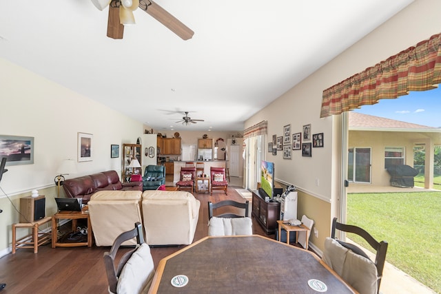 dining area featuring ceiling fan and hardwood / wood-style flooring