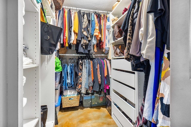 view of spacious closet