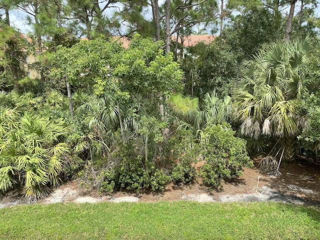 5071 SE Mariner Garden Cir, Stuart, FL 34997 - view of nature