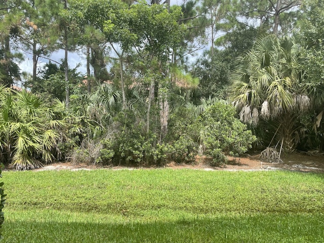 5071 SE Mariner Garden Cir, Stuart, FL 34997 - view of yard
