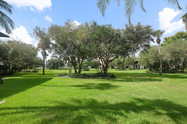 surrounding community featuring a lawn