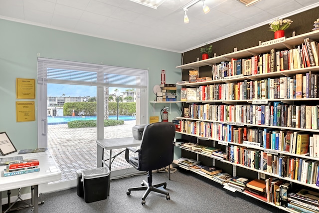 carpeted home office with ornamental molding and track lighting