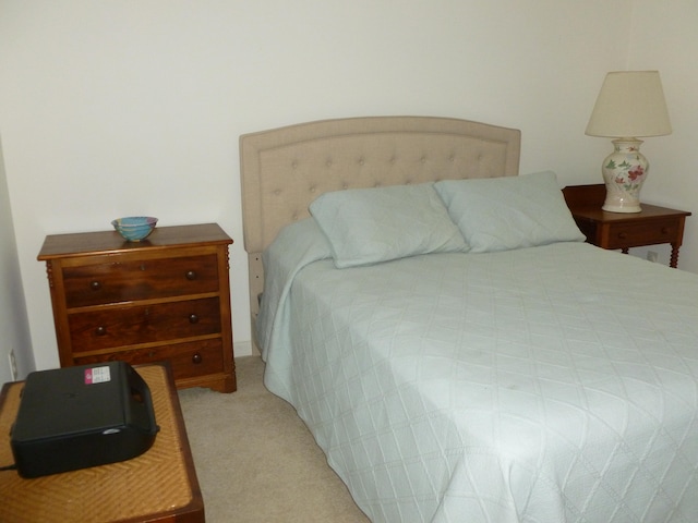 bedroom featuring light carpet