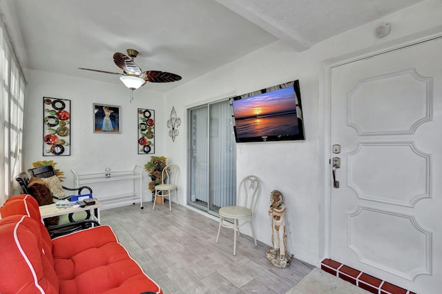 living room with ceiling fan and light hardwood / wood-style floors