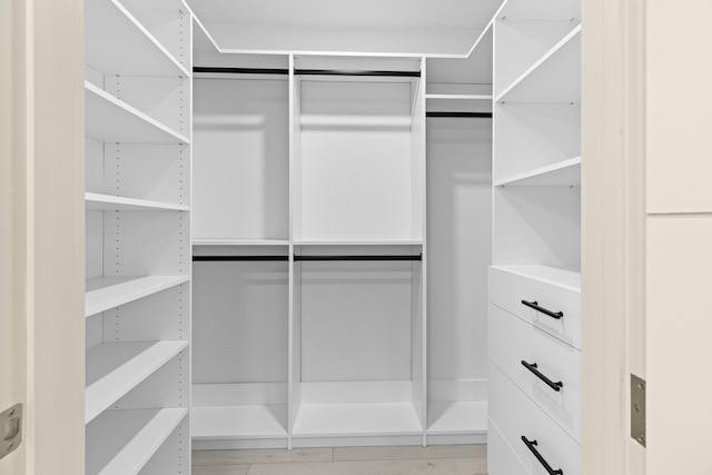 spacious closet with light hardwood / wood-style flooring