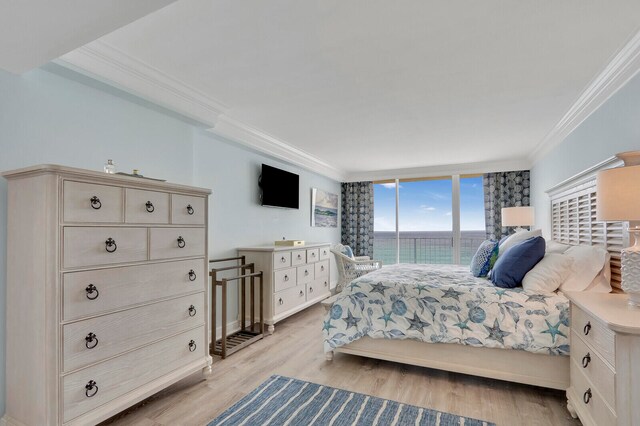 bedroom with crown molding and light hardwood / wood-style floors