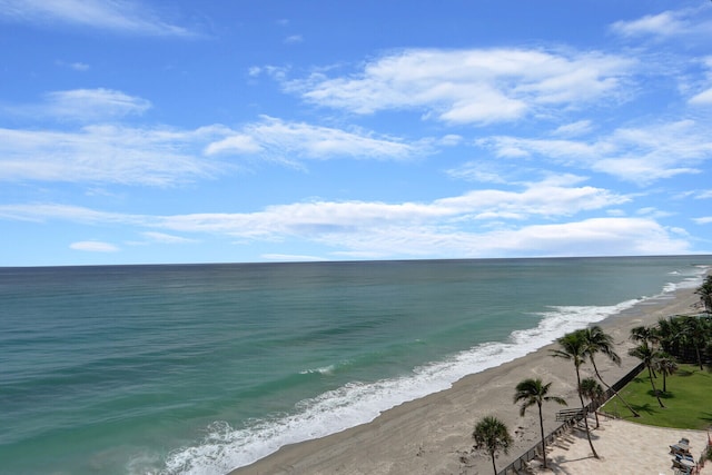 water view featuring a beach view