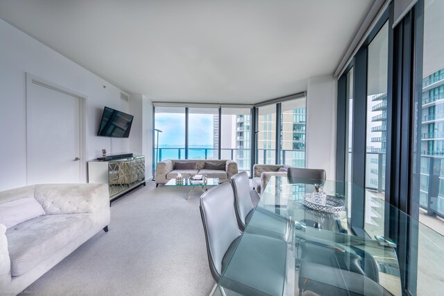 living room featuring floor to ceiling windows