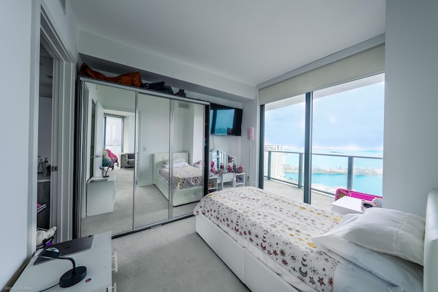 carpeted bedroom featuring a closet