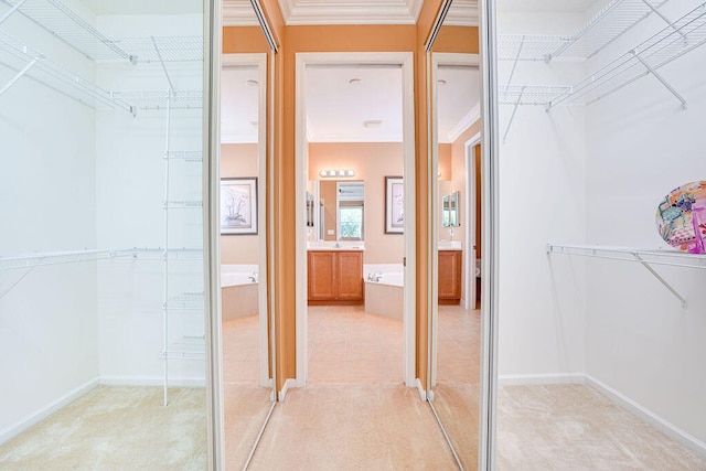 walk in closet featuring light colored carpet