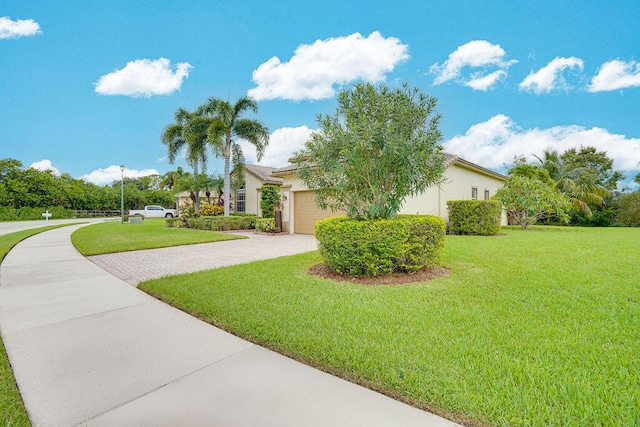 view of property hidden behind natural elements with a front lawn and a garage