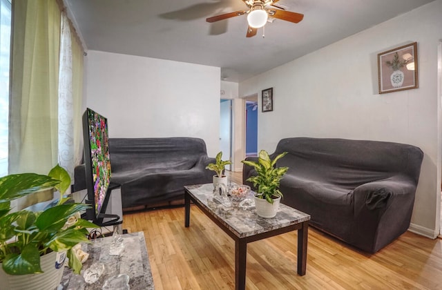 living room featuring ceiling fan and light hardwood / wood-style floors